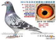 ����δ����������˿��� �����Ǿ���Щ����