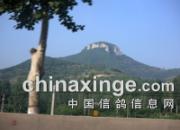 ���¹���ɷ�-���鹫��