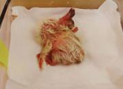 ���ֵ�һ�����룺����ȫ��¼