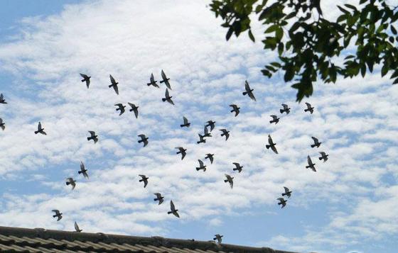 ���������ȹ����ȵ����죿