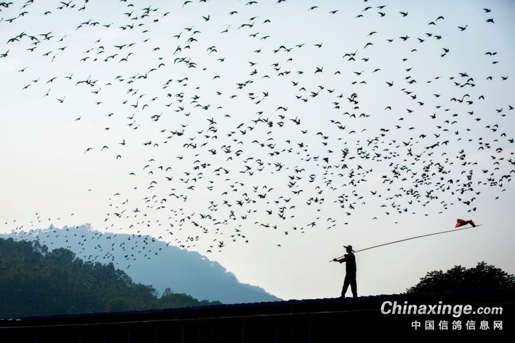 ��羹����˸��֣��ܿ���ʶ��һ�ۼ�����