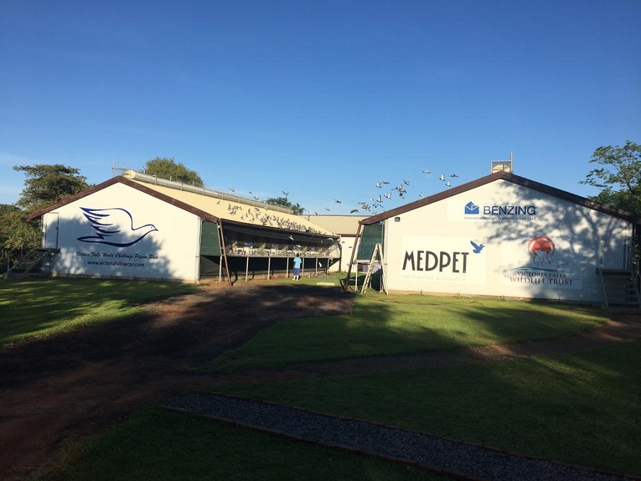 ���޹���������ռ��� �ھ����Ƚ�һСʱ