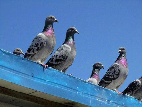 ��ƨ�ɡ����������ɵģ�