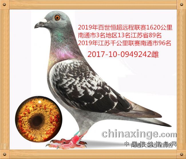 �й���Զ��Ҫ�����ż̳�