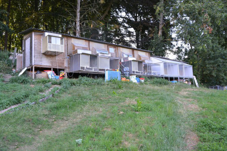 �ּ�ª���ڣ�����ʱ�����ɳ�����ھ���¯