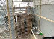 ����������������� һ��㶨����