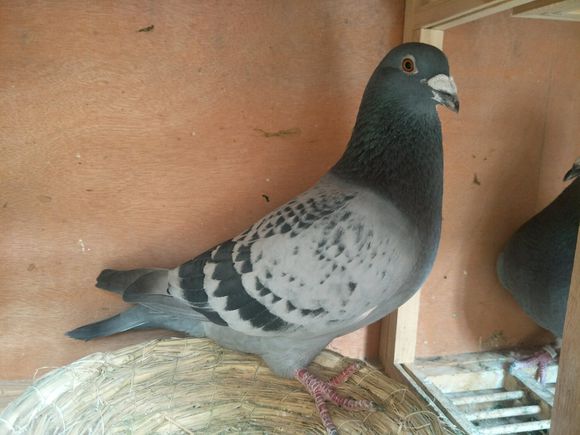 ������Ϊʲô��Ҫѧϰ