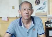 ���¾㱸 ���С����塱�����������������Ҷ�