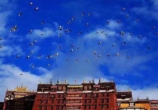 ��ս��� ����·�ںη�����Ϊ�߷��ߴ��ԣ�