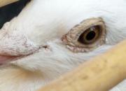 ��Խ2500������������� ����33��500Ԫ