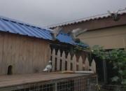 �����׸뻻����� ð����ѵ����ȫ��