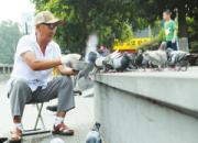 ������˹㳡��ι���� һι���������