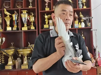 �ؽ����ǿ�����¡������� Ϊ¶��â��