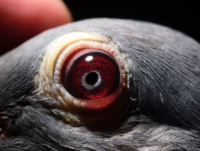 ������������� һ��������