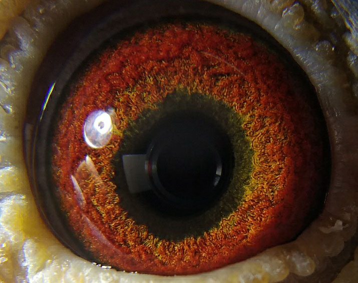 ����15���ָ��Ư������ ��ӭ����