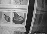 �¸��ѵ�����д���С������������������� 