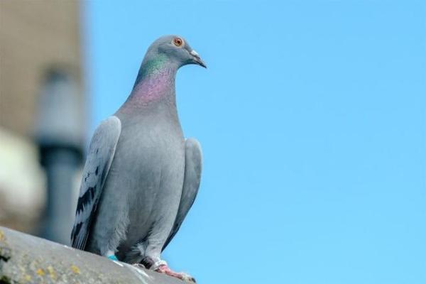 ӡ�������˶��� ����Ÿ������ཻ����߼�¼