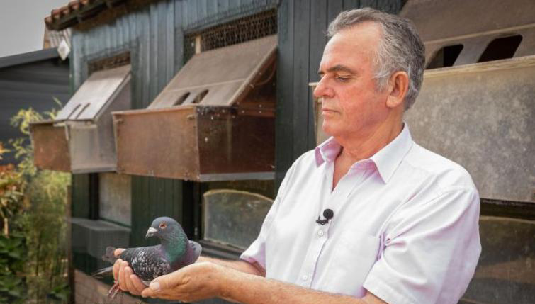 ��Ʒ�ɴ�ս����ʱ��� �ھ��볤����