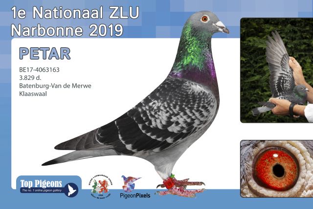 �����ð�900���ﵱ�չ鳬���� ���ڲ�����