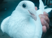 ����Ҳ�᲻�ö��ĸ��� �������