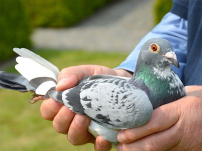 �������ʱ�������ھ����� �������ĸ���