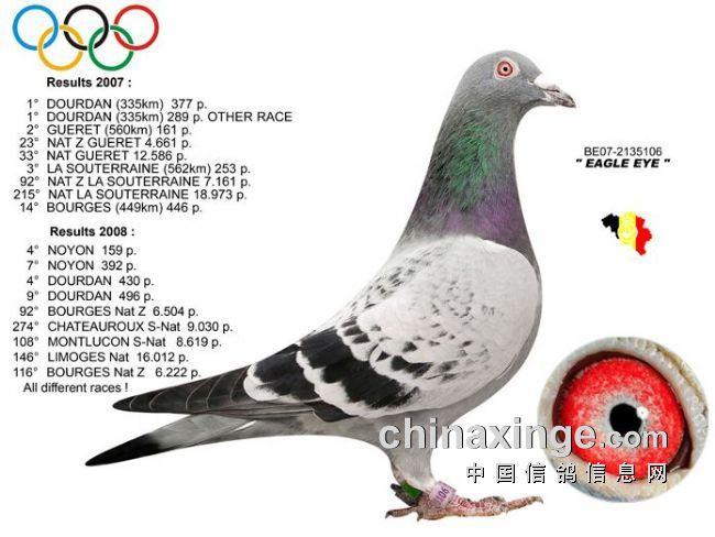 ÿ��һ�룺������90%��ӥ�ۺš�(ͼ)