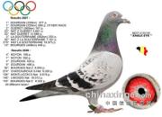 ÿ��һ�룺������90%��ӥ�ۺš�(ͼ)
