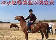 ����8��ֱ���������رȻ�����ǰʮ �����ָ뿪�� 