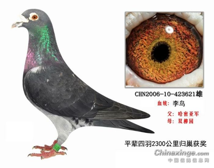 ������ʮ����ĳ�Զ����Ʒϵ�ָ�