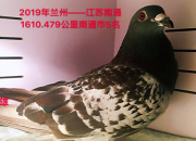 �����۷�2�� ������ֻԻ�