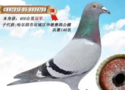 �������ʹ�����䰮����ʹ789