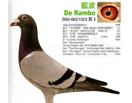 ÿ��һ�룺�Ͽ�.��������������