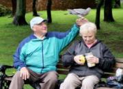 �˸��а����������ӱ����� ÿ������Ϸ�