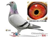 ��·�����̾���ھ���ϵ�ɺã�