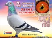 ��Щ��������Ŀ������� �㶼��ʶ��