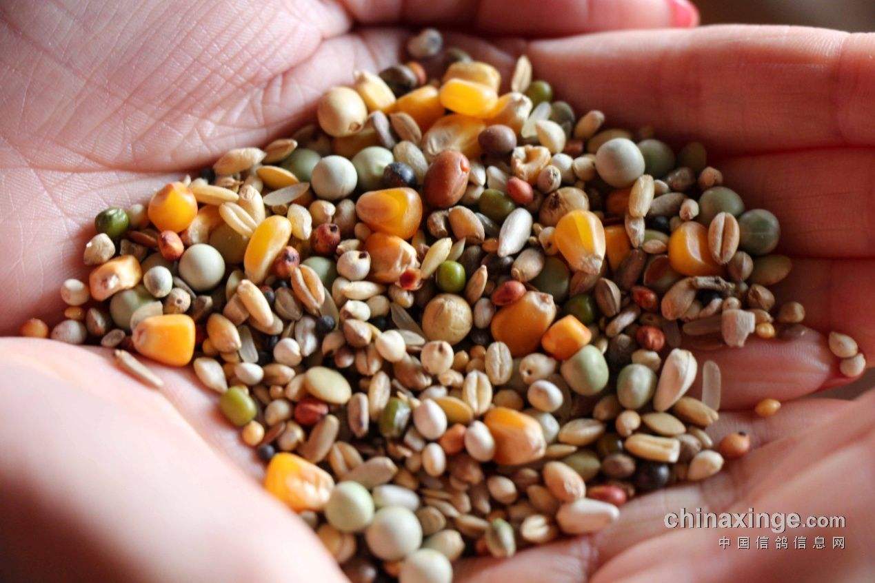 ����˹����ŷ����߱�������Ѫϵ����