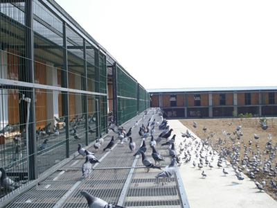 ����ҵ�Ƶ�ʽ�������ֳ���