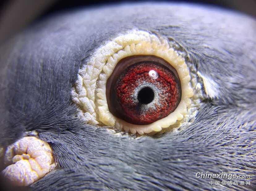 ����һ��������۽���