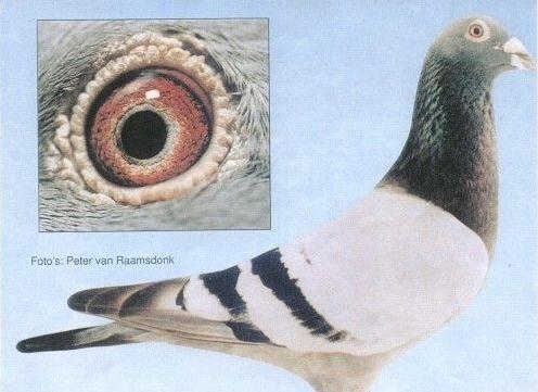 ÿ��һ�룺���ǿ��ա����007��