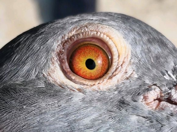 �����񡱼��ϣ�һ�������մ������