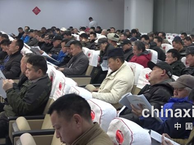 ������·���¼(14)�и�Э����ѡ��ǰ�� [��ƪ]