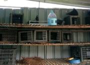 ������������� ɽ���԰����������զ����