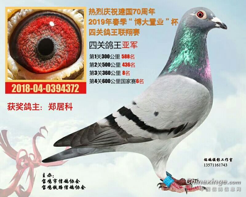 ������ĸ���û���ã�