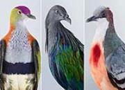 ���������͸� ��һֻ�ķ���̫����