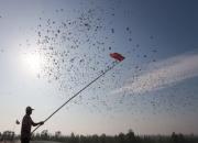 ��ǧ���Ÿ����� �𺳣�