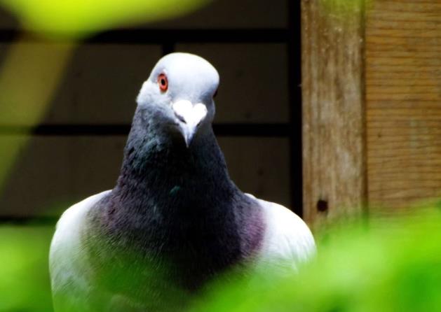 ����û��ô���� ���ӵ�����