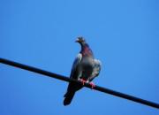 ������ʣ������ϵ��Ÿ�