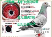 ���ڶ����������СС��Ÿ�ǣ�