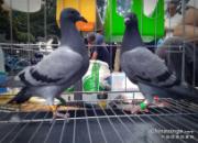 �����͸��ѽ��� �������괺������