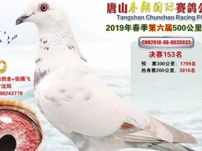 ˫��ϵ�׸롪�����������ϵİ�ɫ����